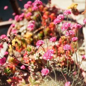 Meet your Posher, Jaelyn